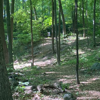 Hole 2 basket