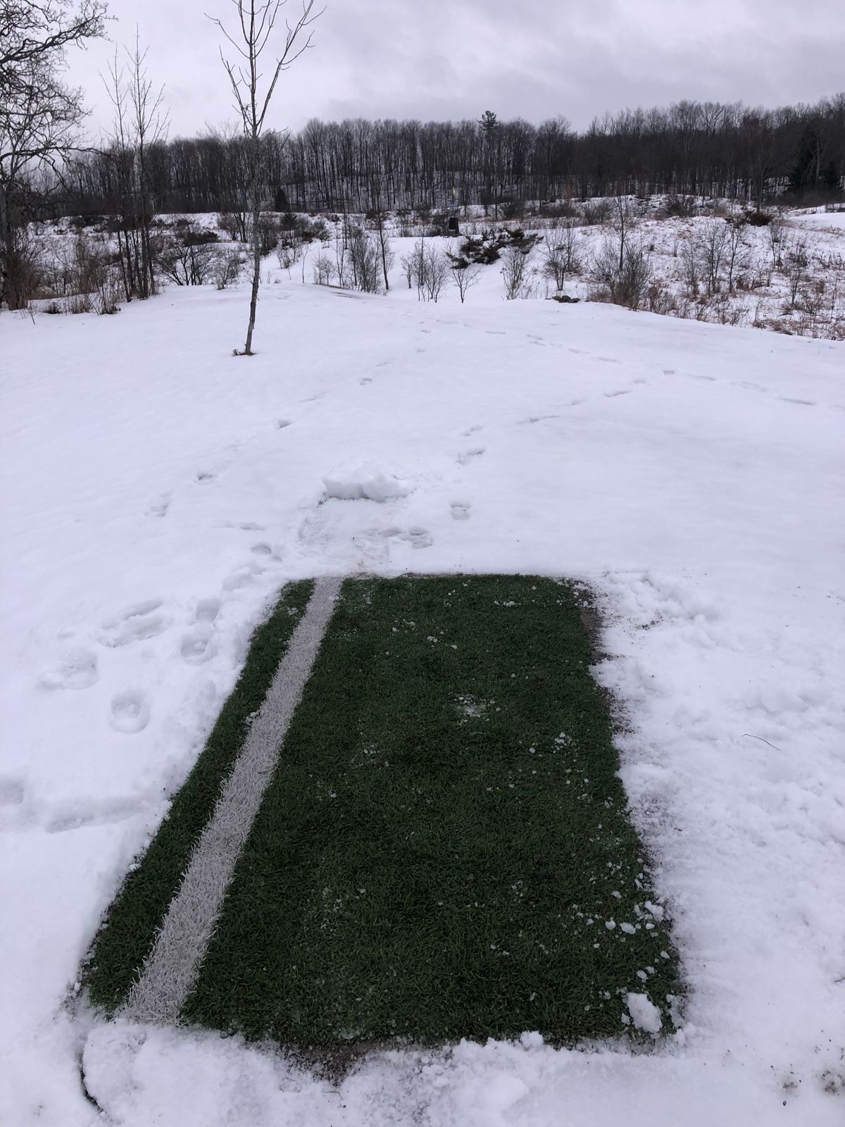 Hole 7 red tee