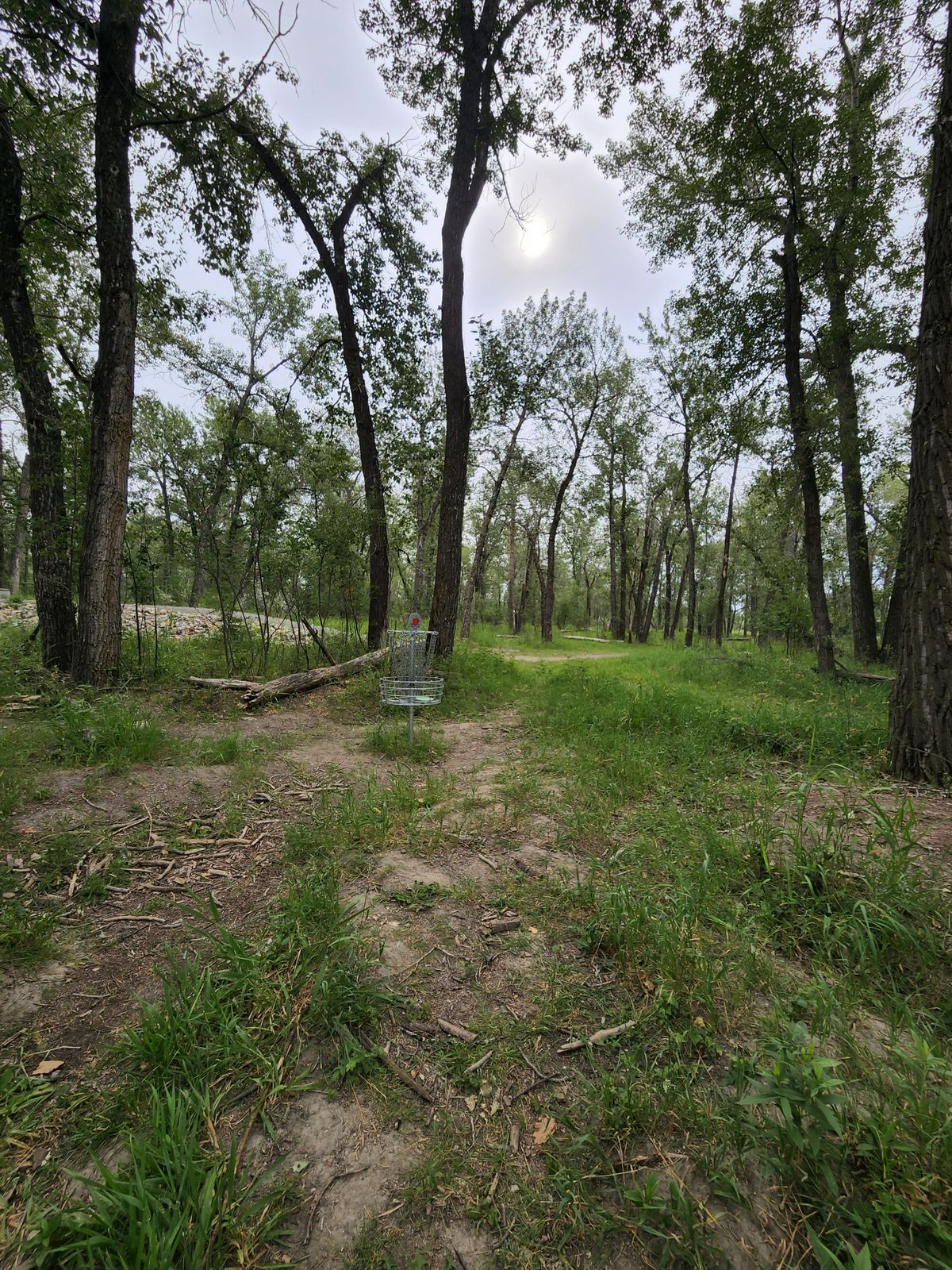 Hole 9