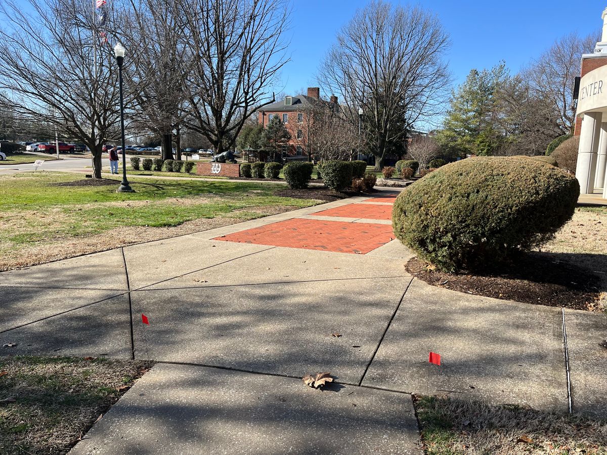 Hole 11 tee
