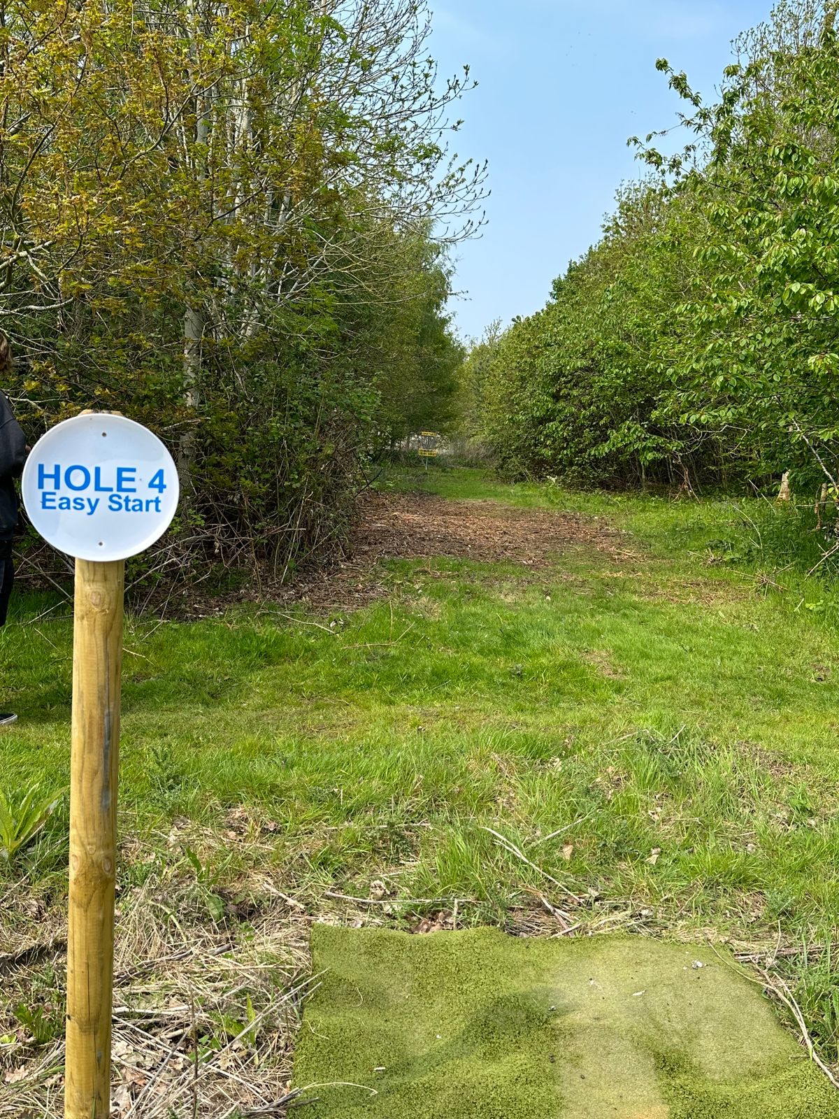 Short course hole 4 tee