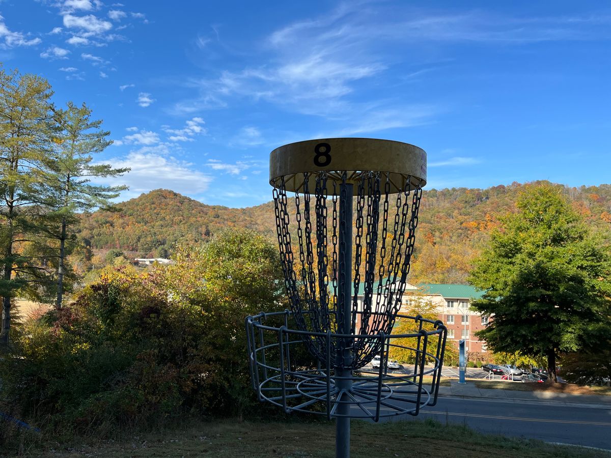 Basket eight with Fall Colors in background