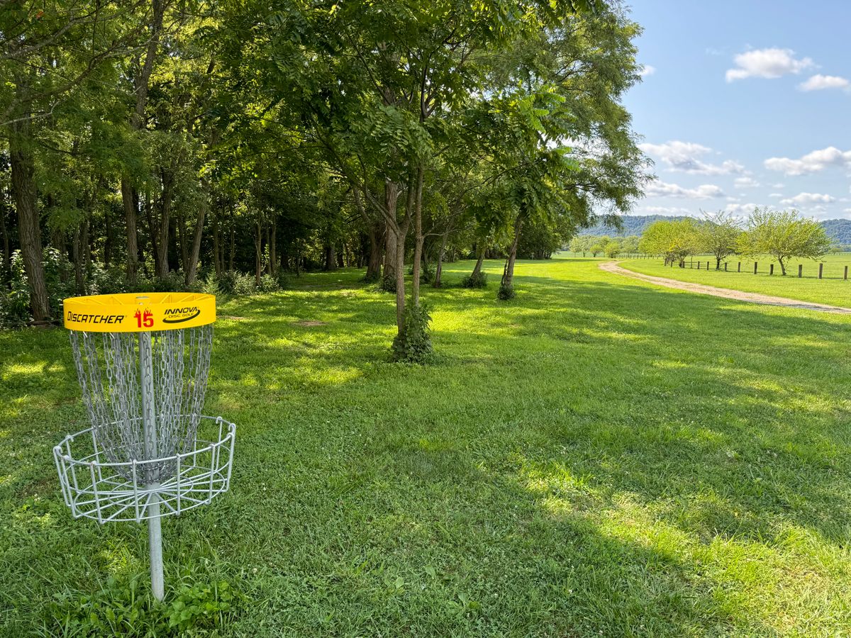 Hole 15 Basket to Tee