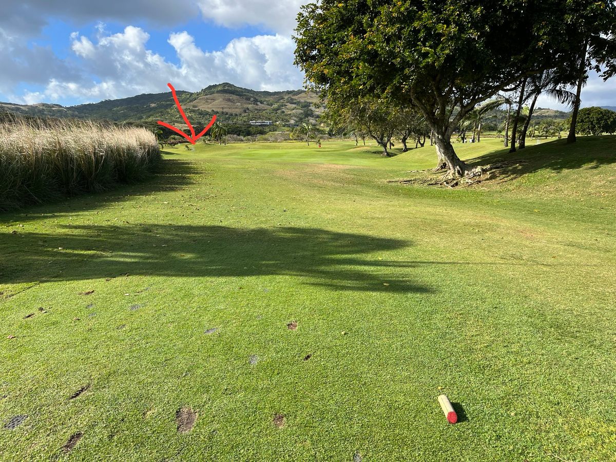 Hole 1