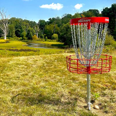 Hole 8, view of tee from basket