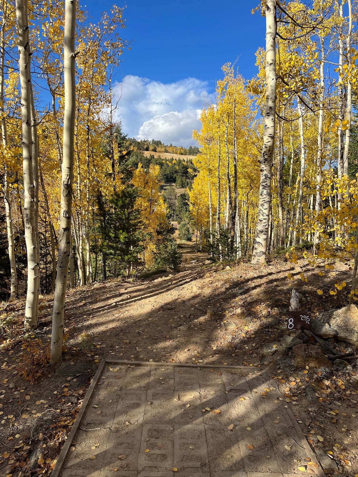 Just unbelievable in the fall!