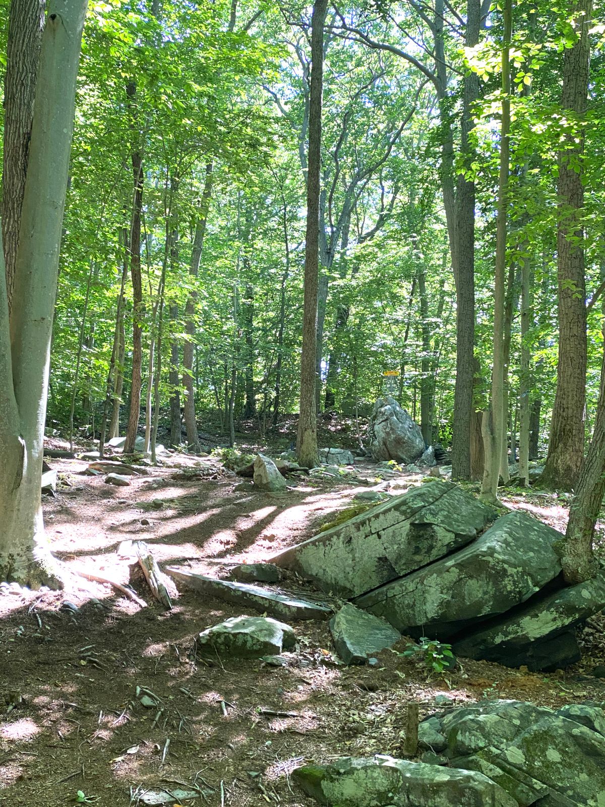 Hole 10