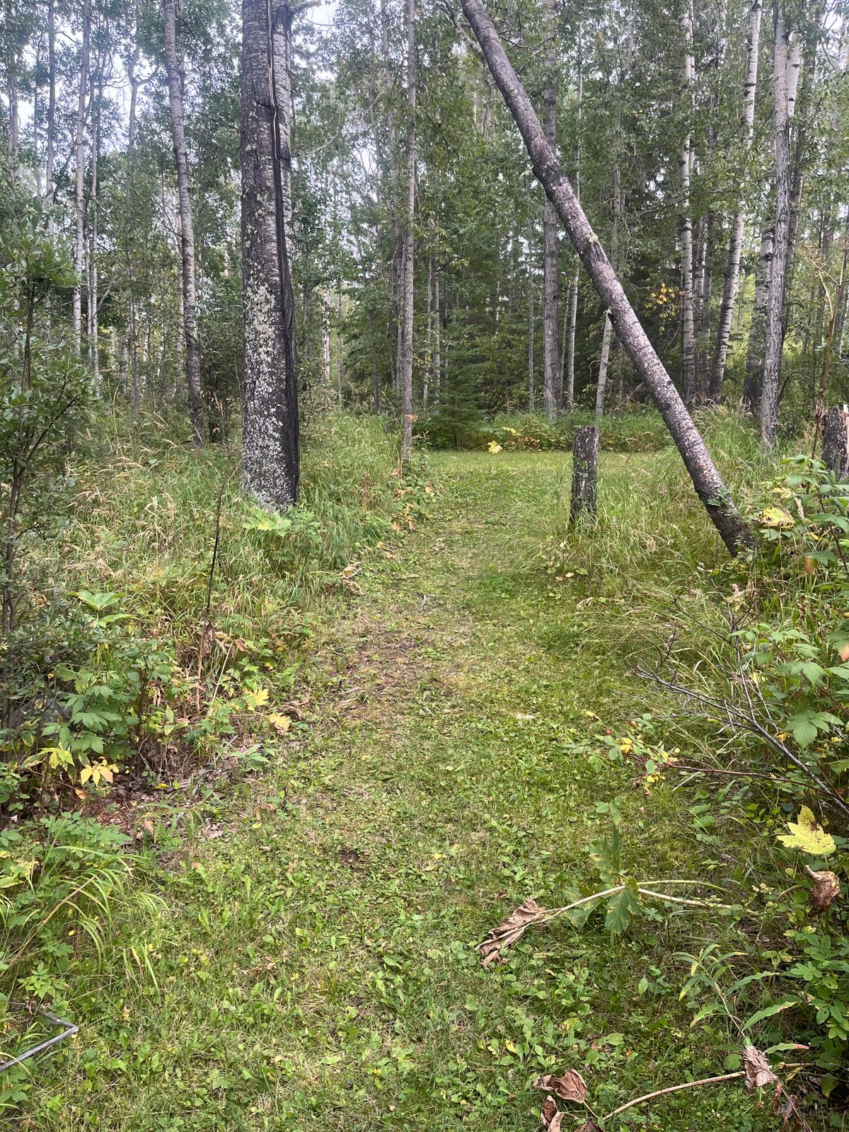 7th Tee (Dog Leg Left)