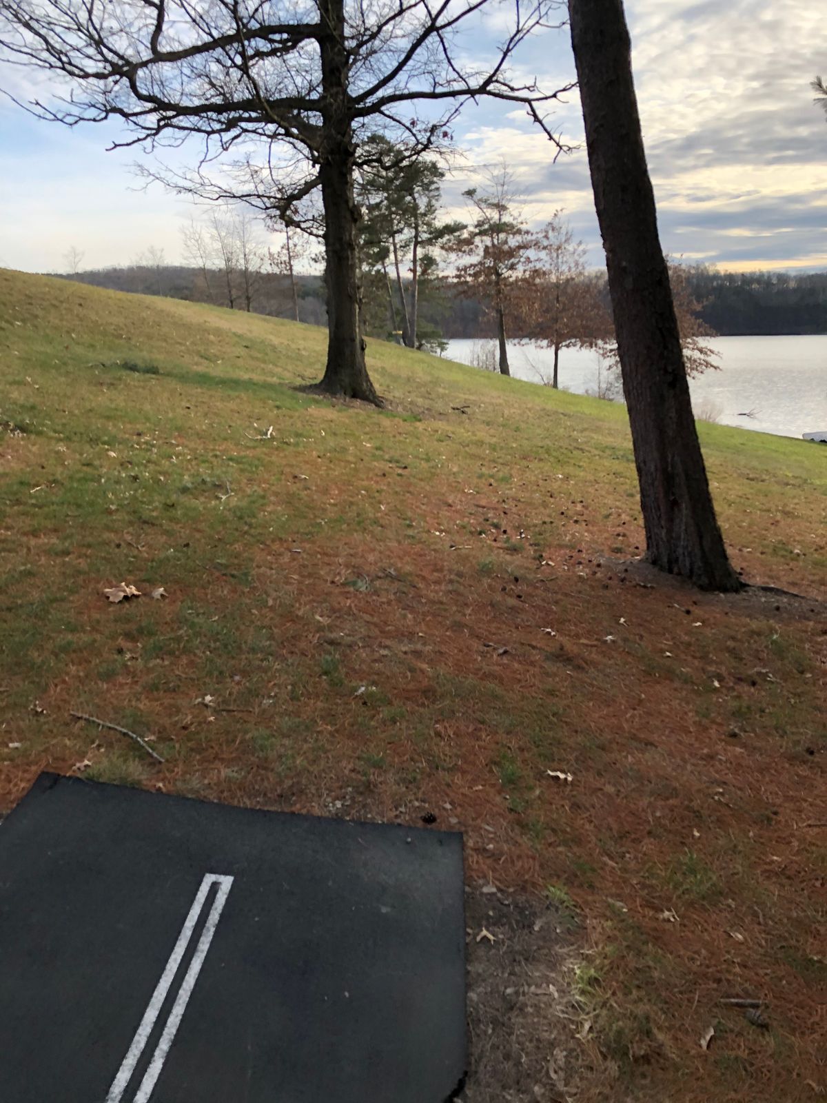 Hole 1 tee (basket in distance)