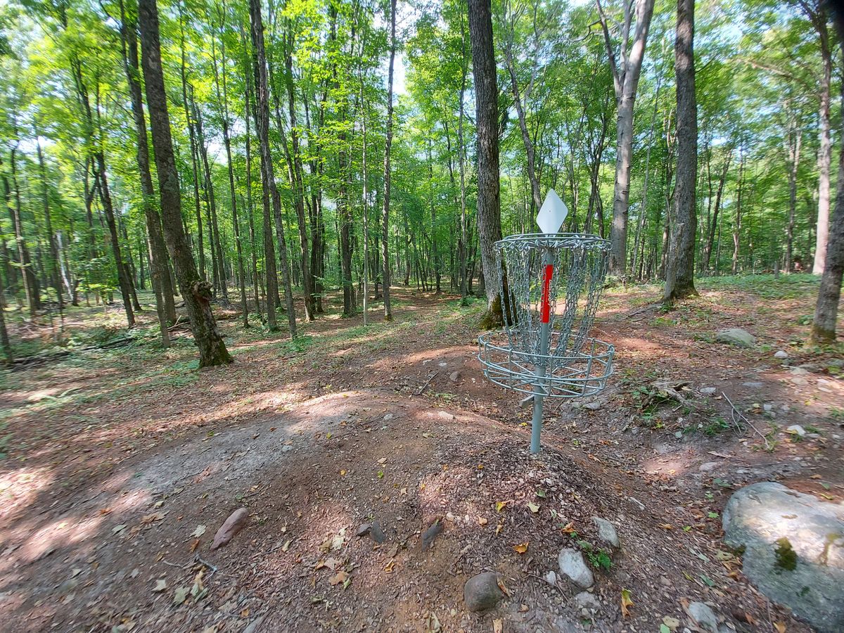 Reverse back up the fairway on hole 9.☘🪵🍀🪵👍