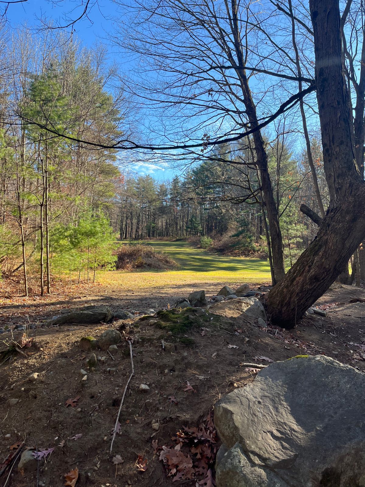 View from green towards tee