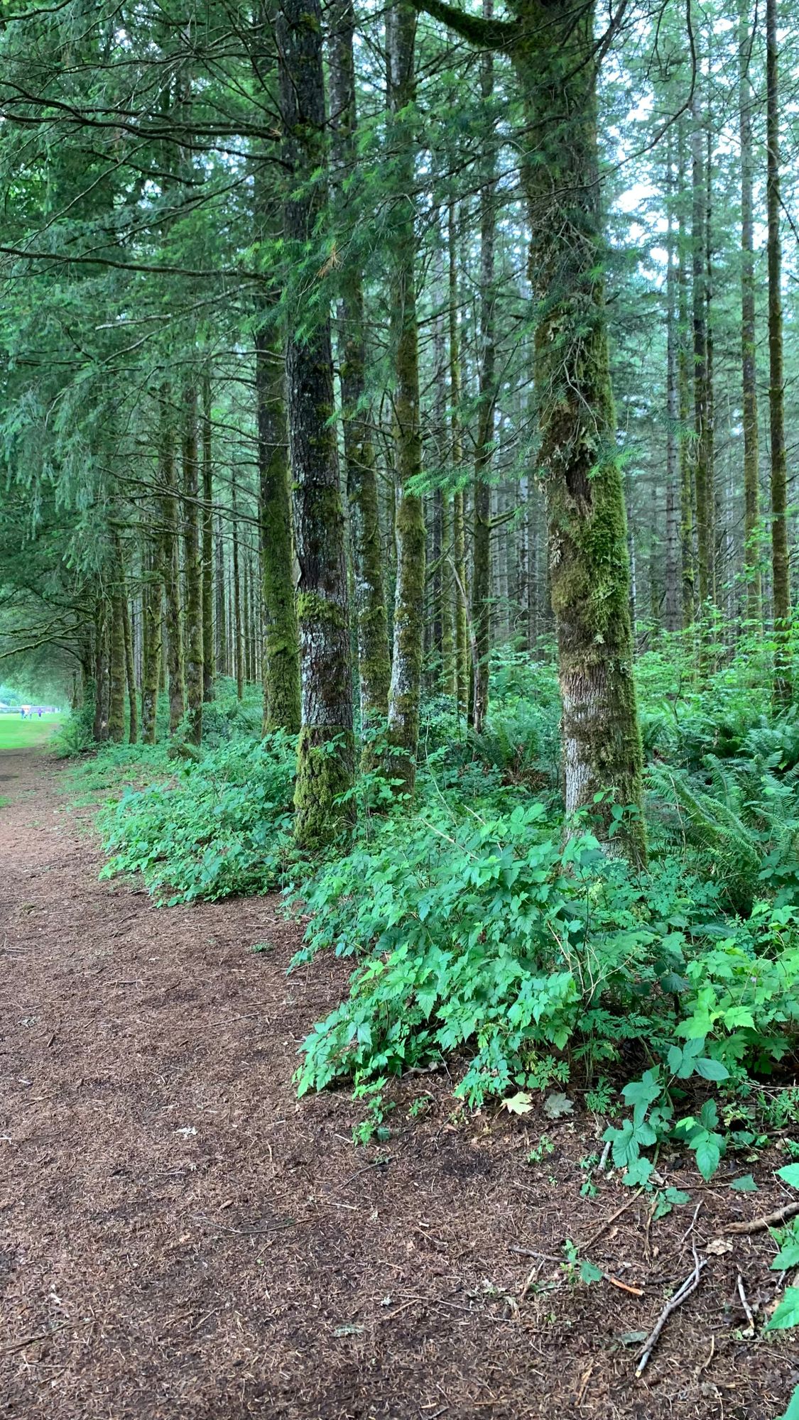 Course surroundings