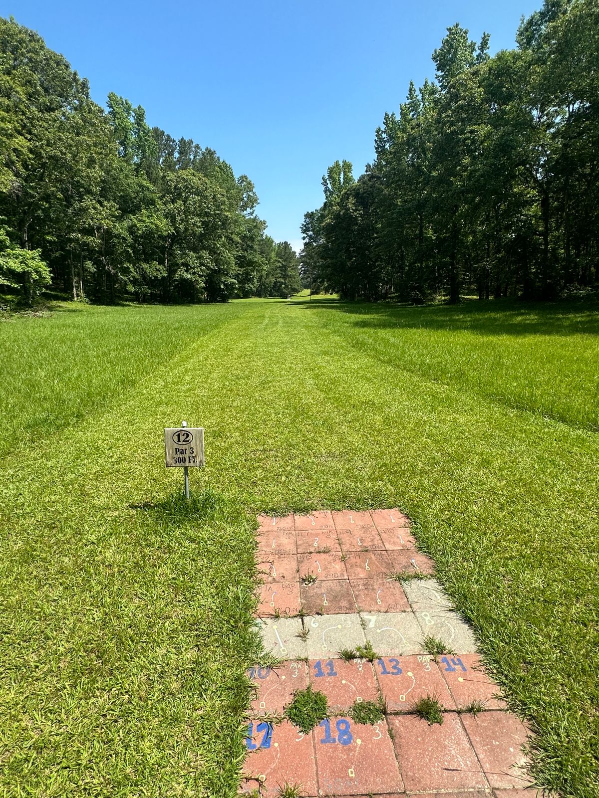 Hole 12 long tee 300ft island green