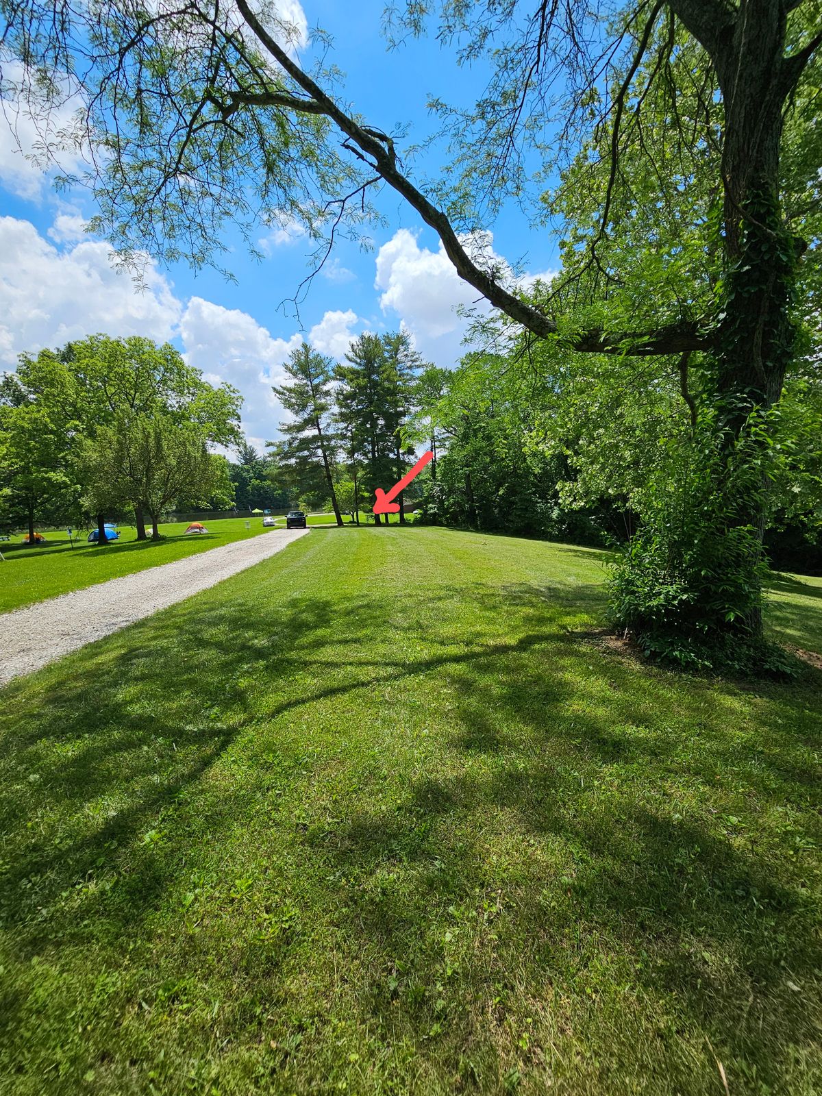 Hole 8 basket