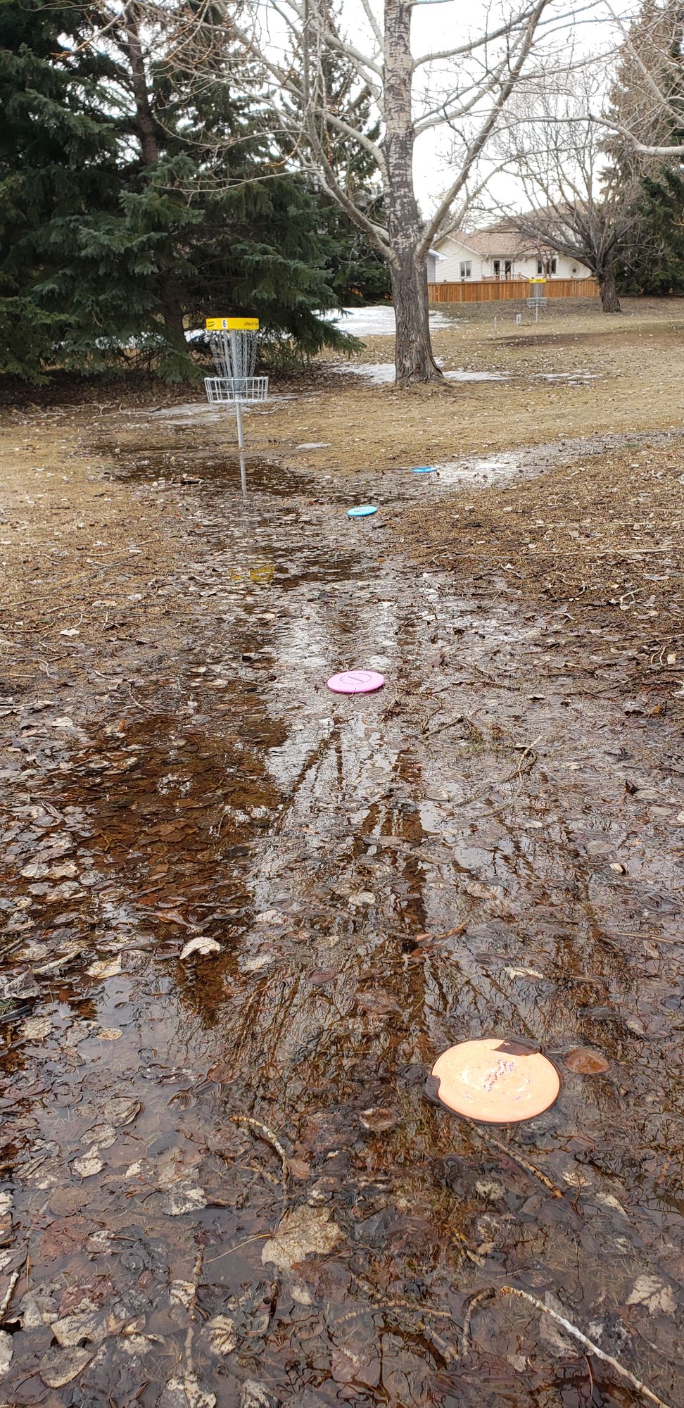 Hole 6, April showers