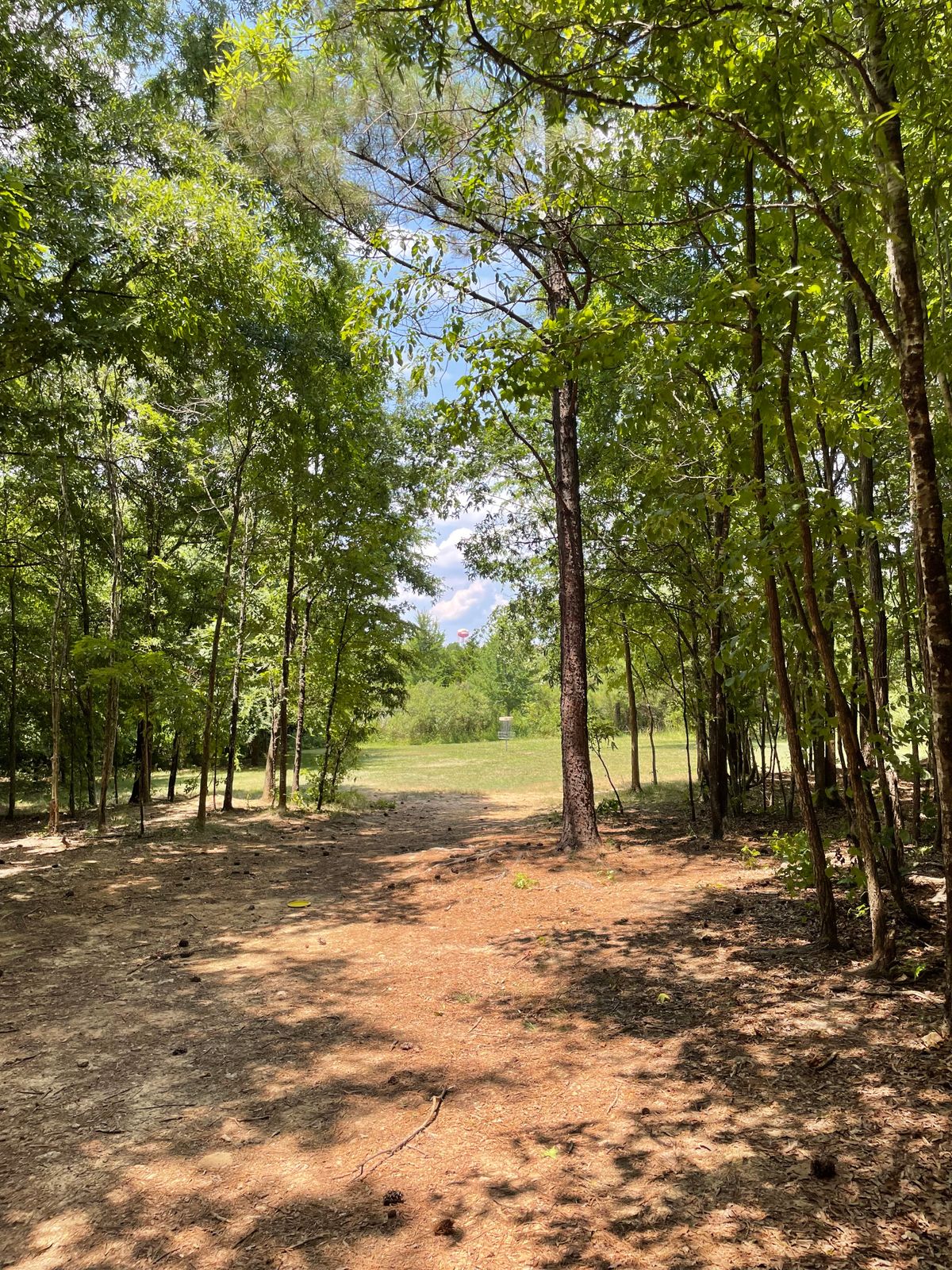 Fairway on hole 14