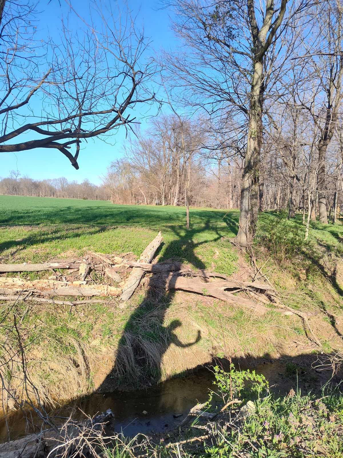 Hole 4