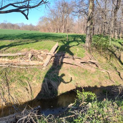 Hole 4
