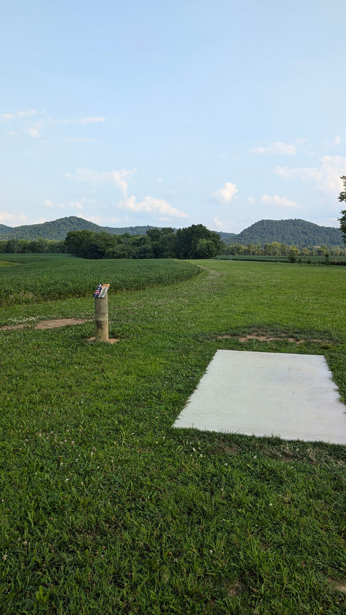 Hole 3 tee