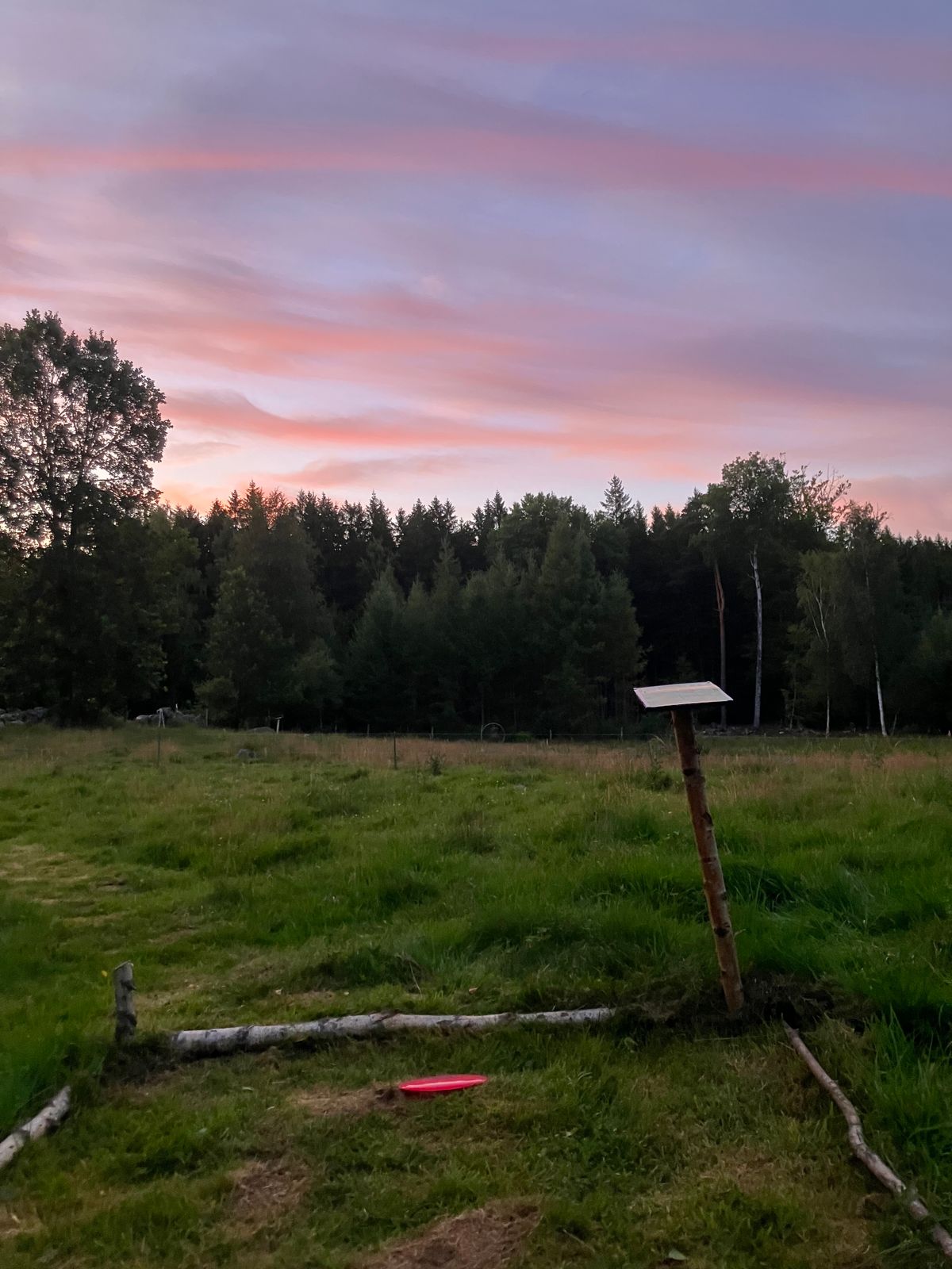 Tee 1