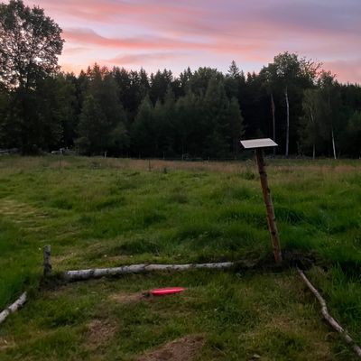 Tee 1