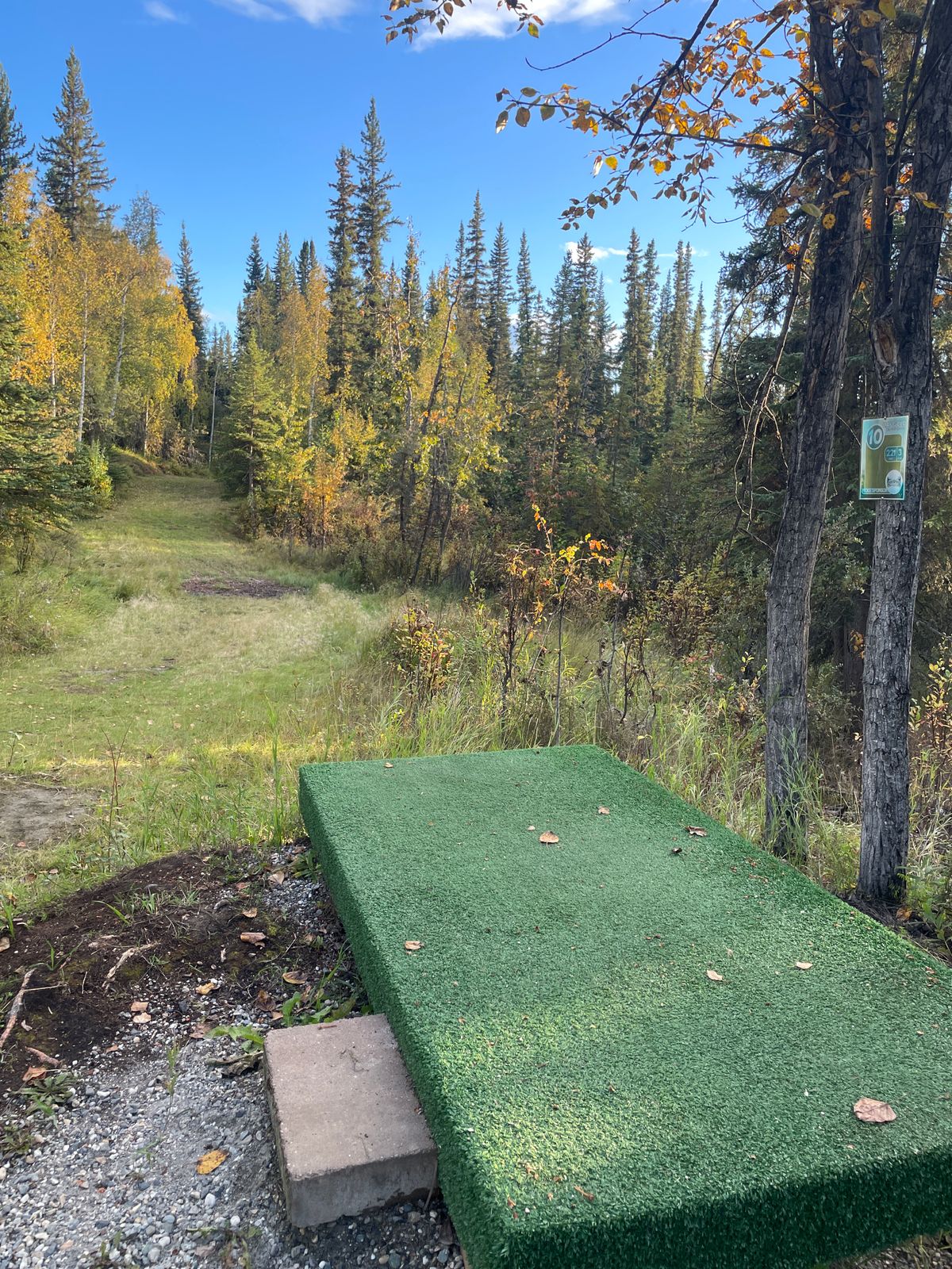 Hole 10 Tee Pad