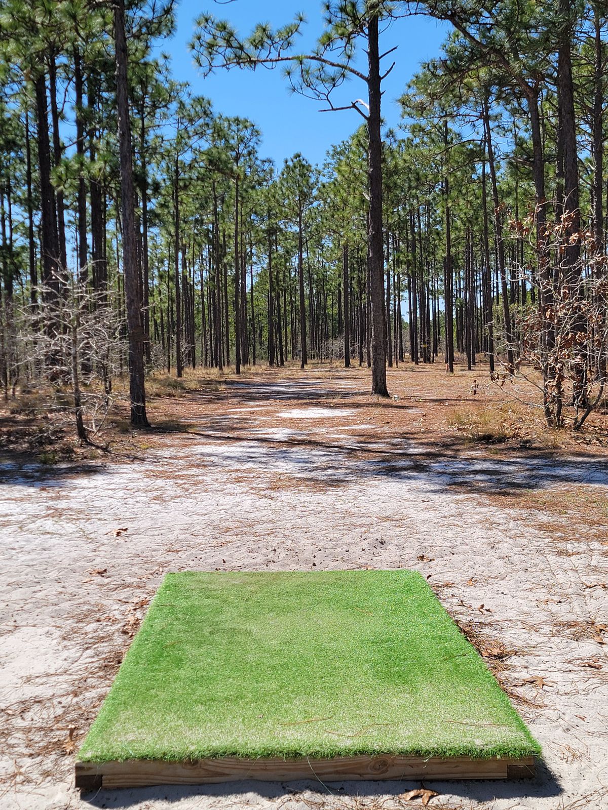 Hole 1