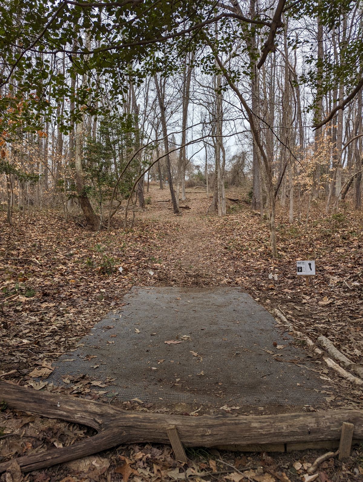 Hole 7 tee pad