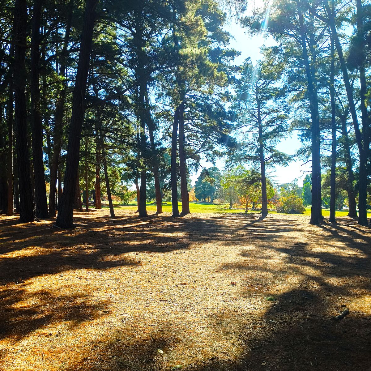 Hole 12