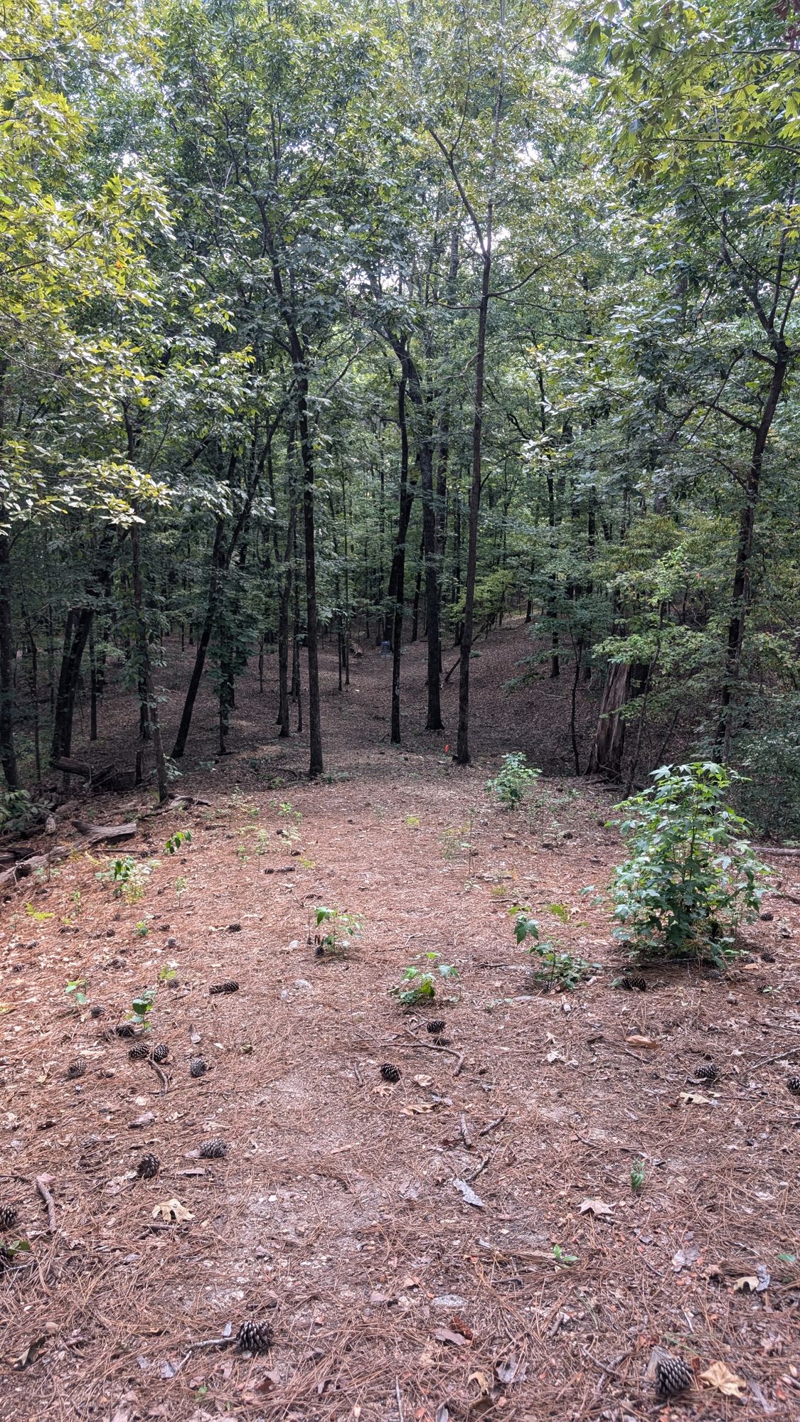 More Hole 15