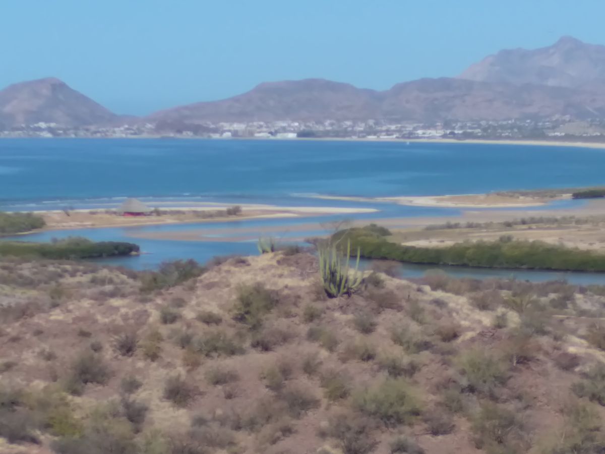 Overlooking the Sea of Cortez
