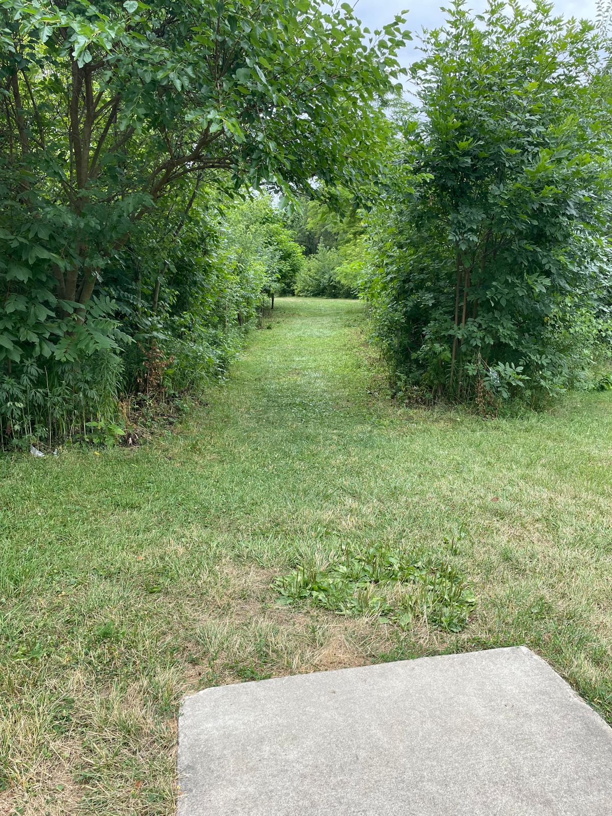 Hole 4 fairway