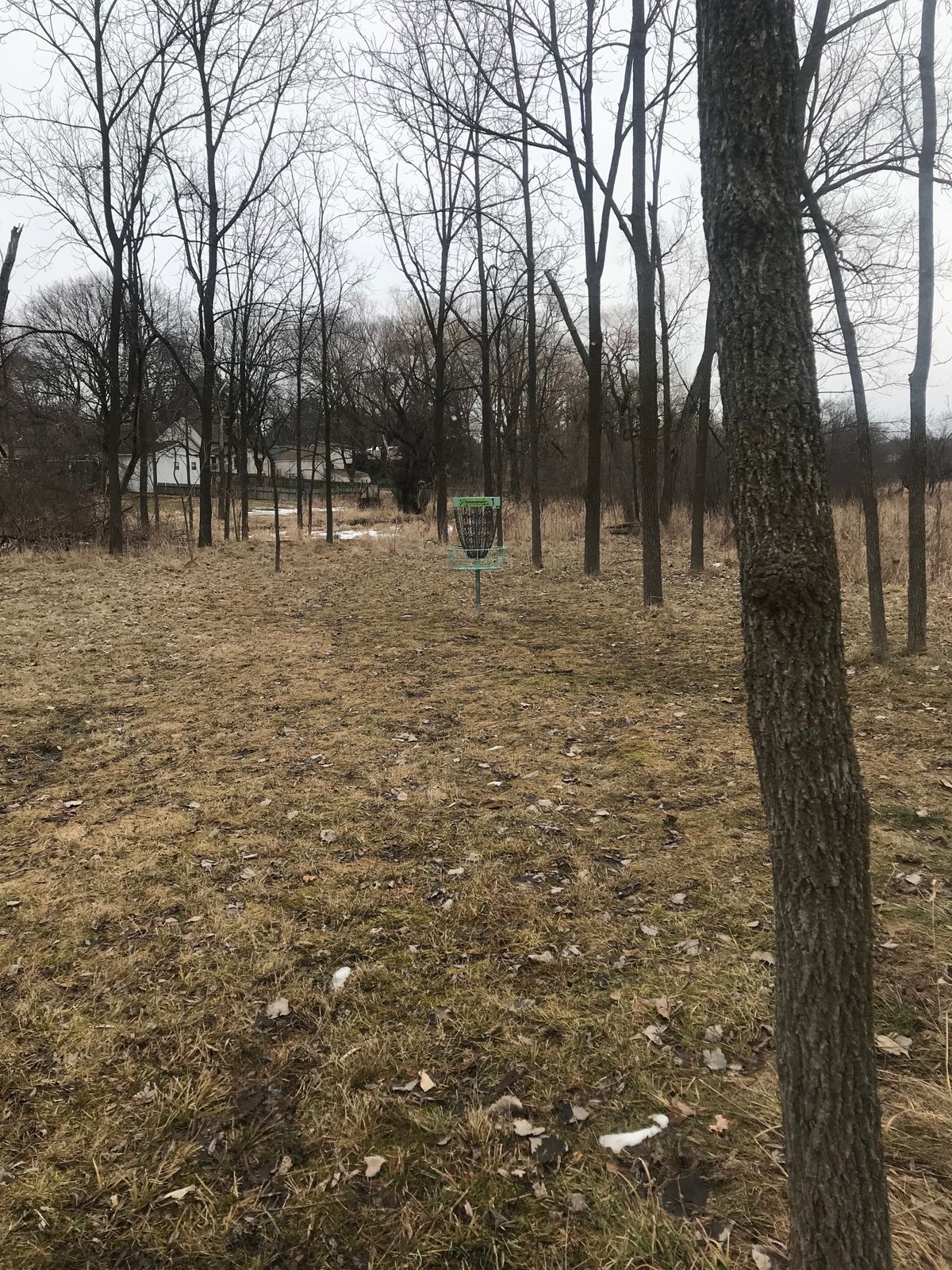 Hole 1 plays from the edge of the road