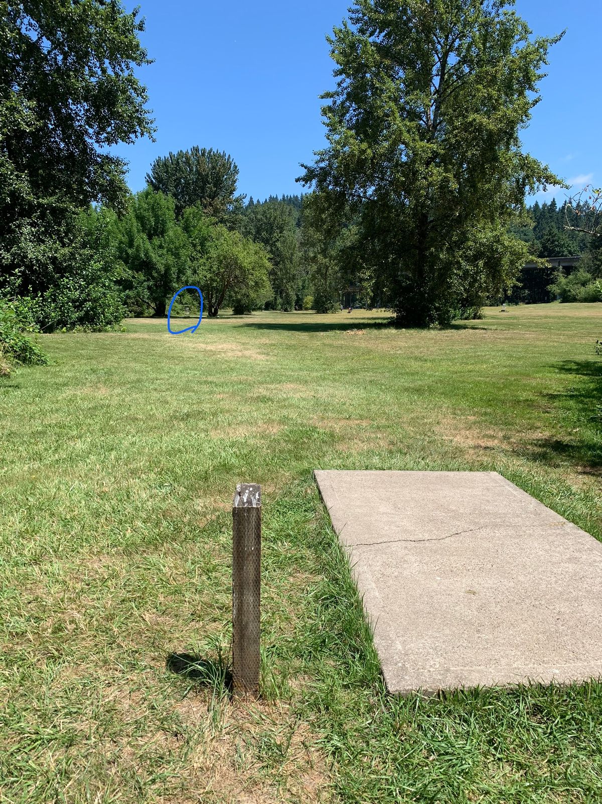 Hole 7