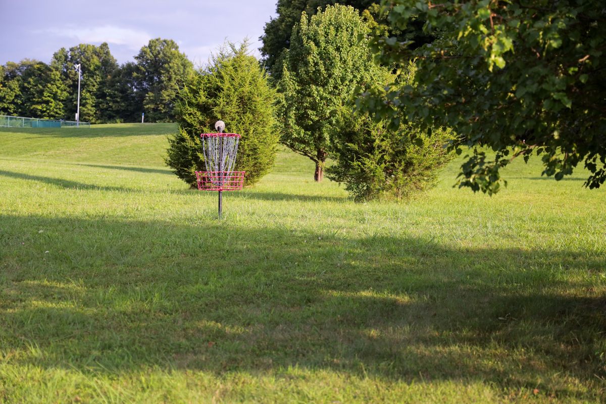 Hole 11 - green