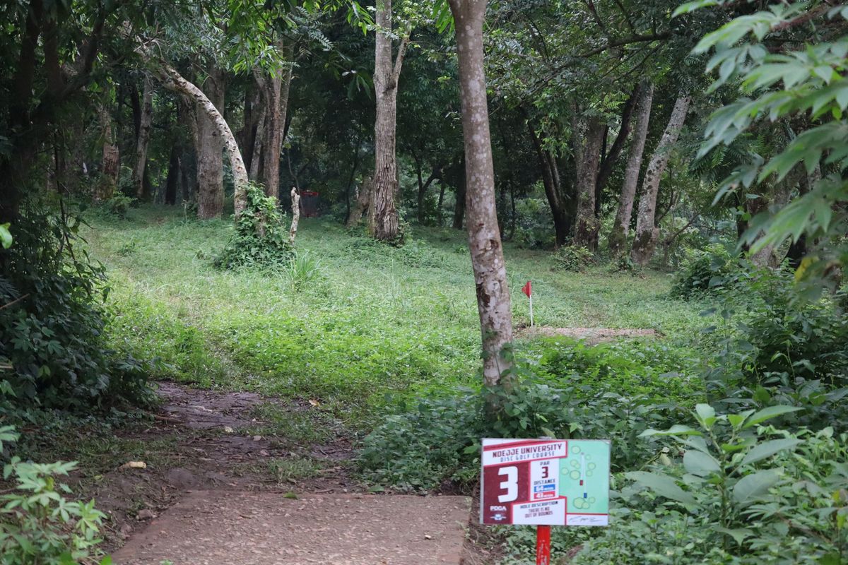 Hole 3 Long Tee