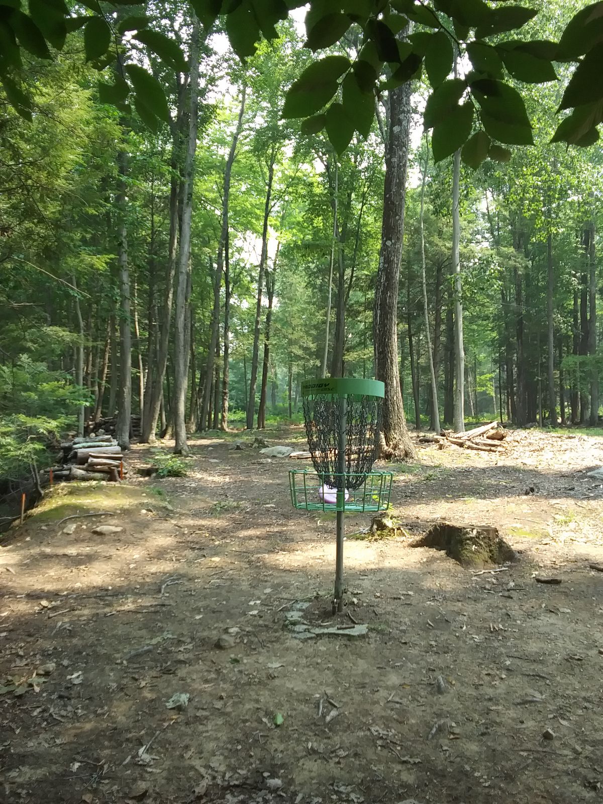Hole 6 basket, looking back up at tee pad.