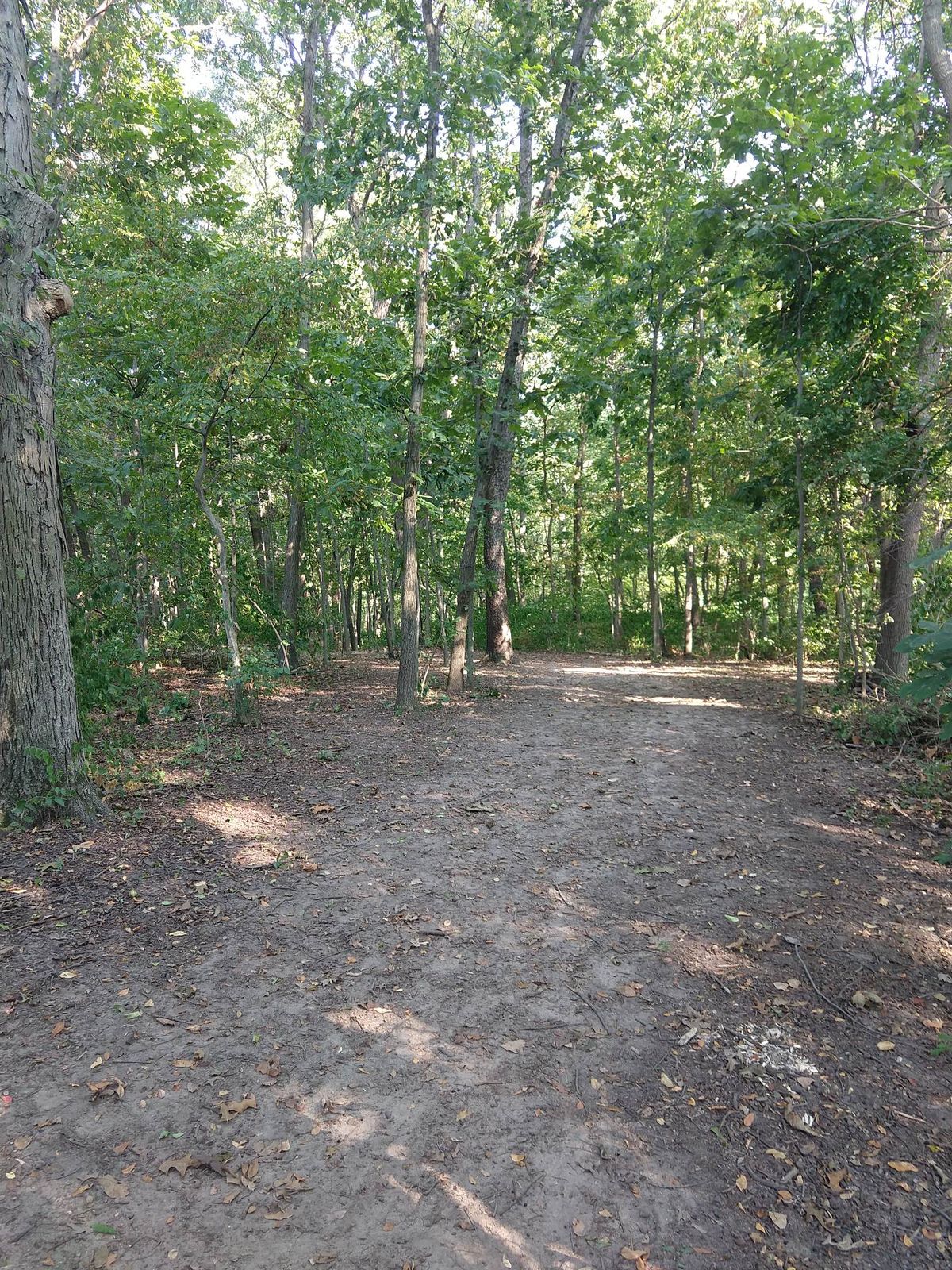 Hole 9