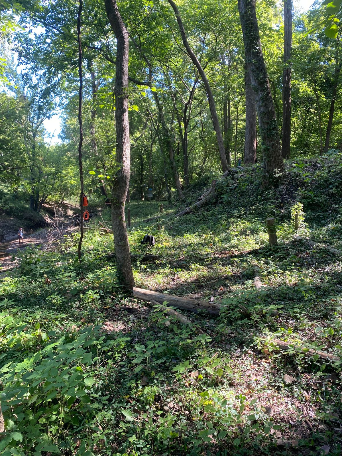 7 fairway