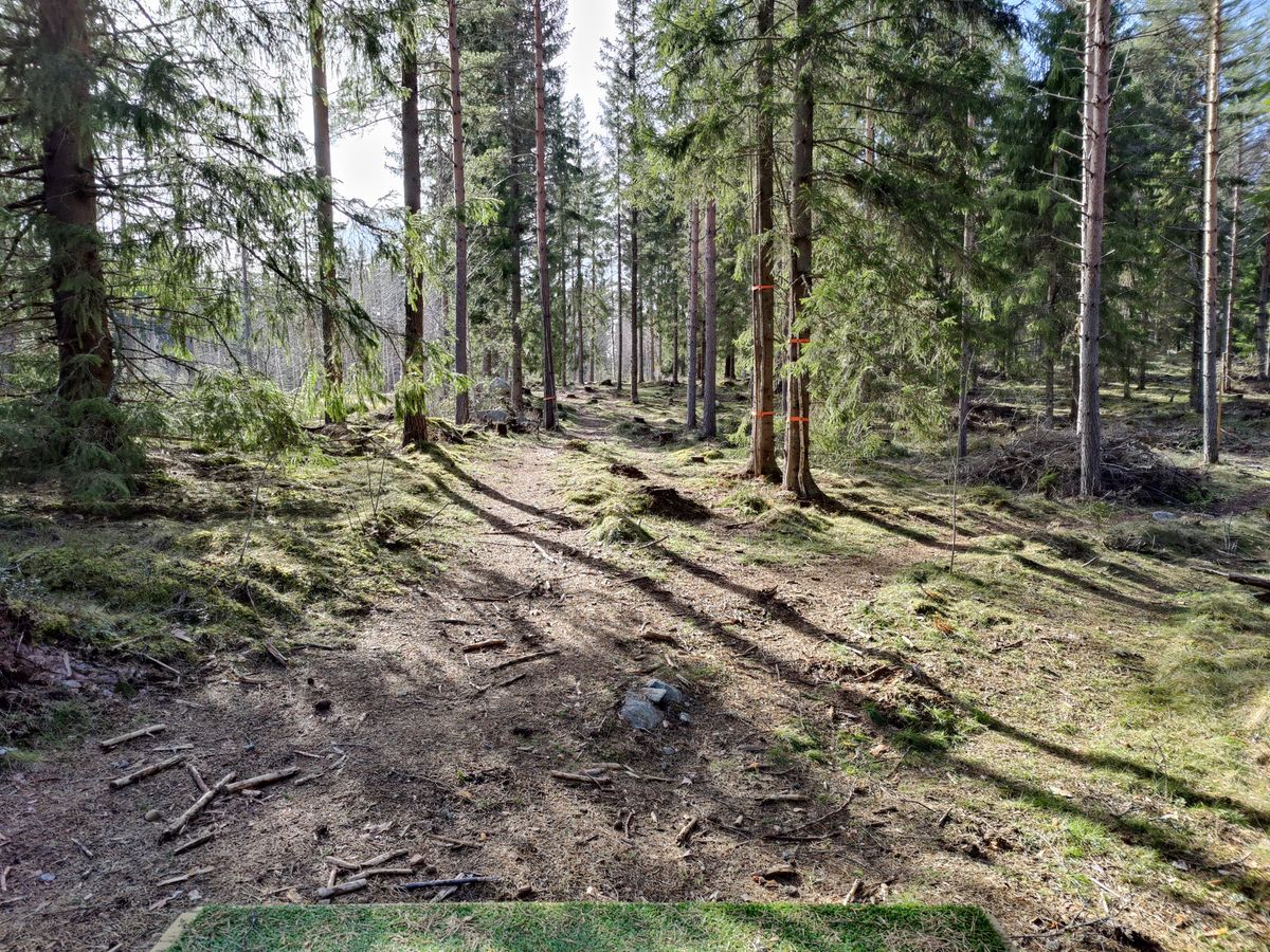 Väylä 9 tii