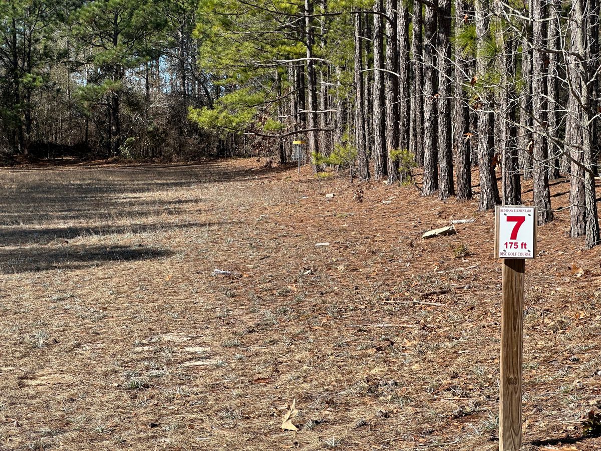 Hole 7