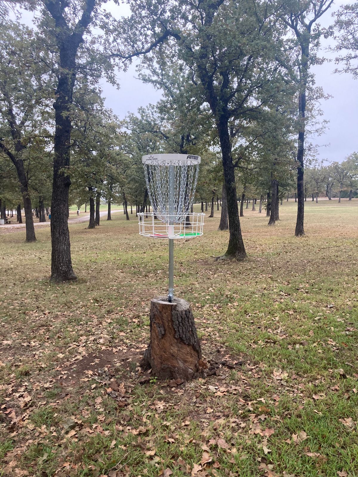 Hole 3 elevated Basket
