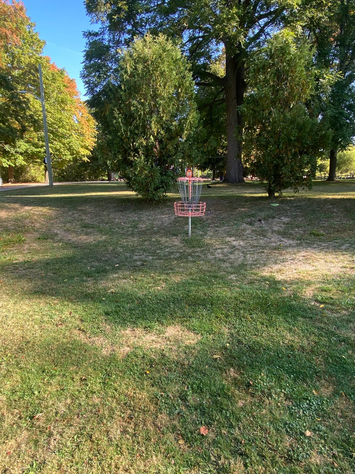 Hole 11’s basket