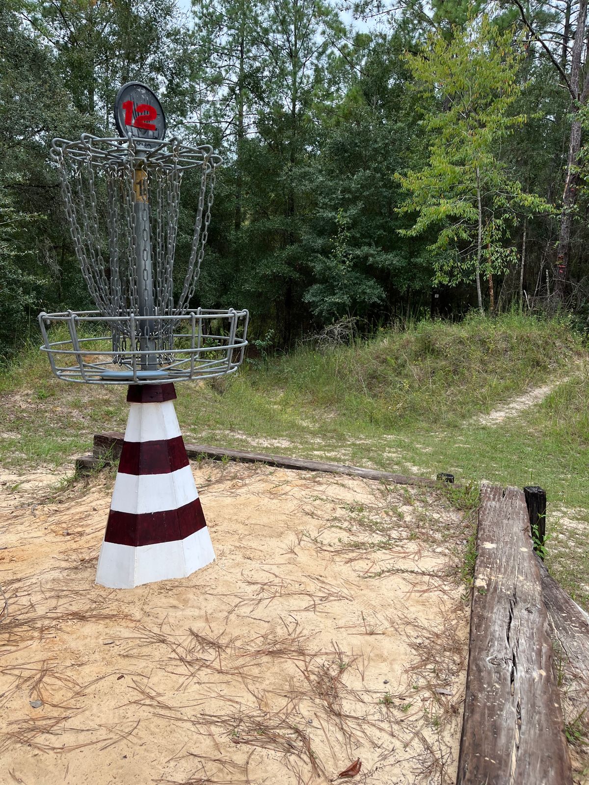 #12 Green (only placement)