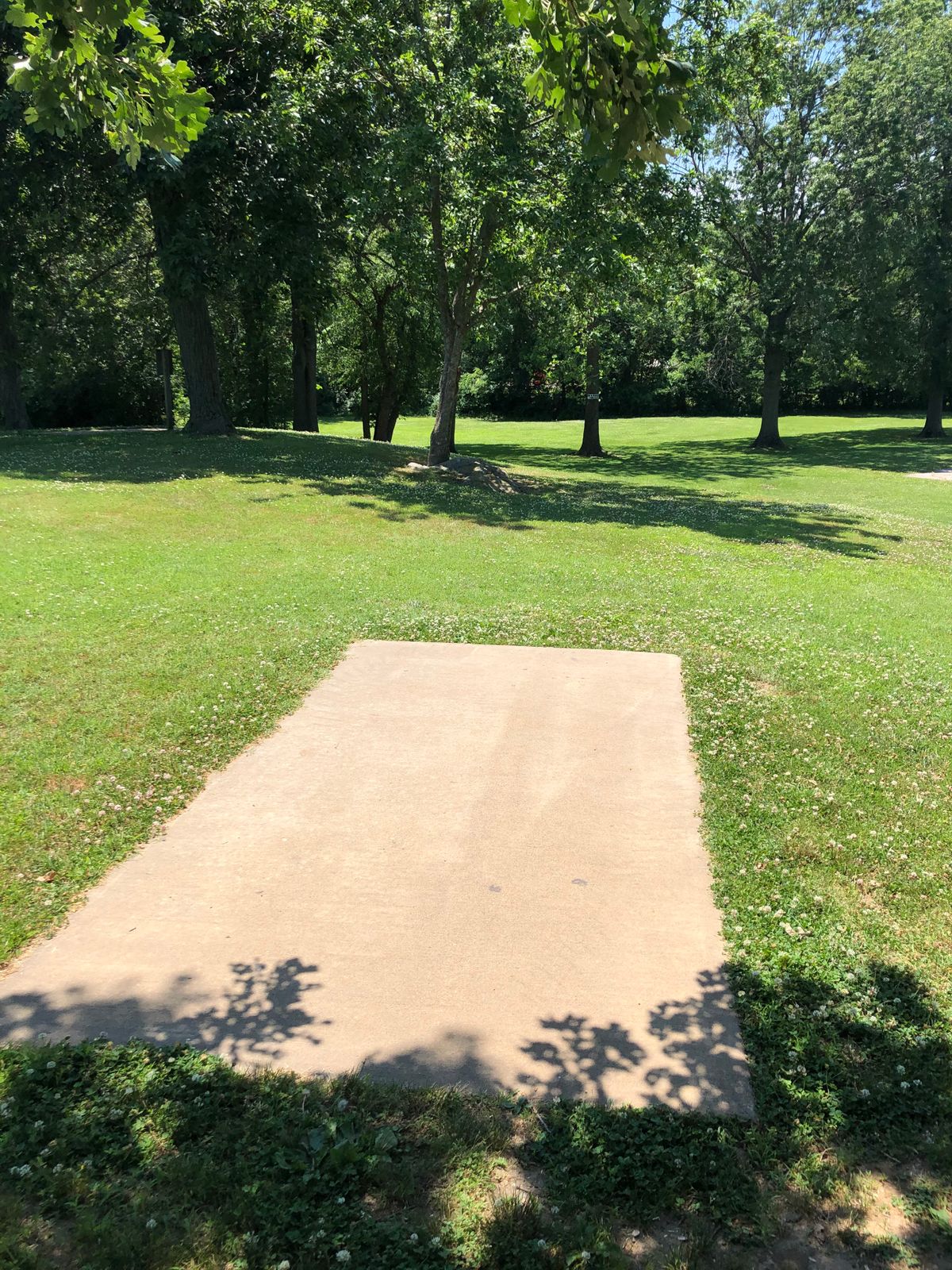 Hole 15: Tee Box. Mando left of far middle tree