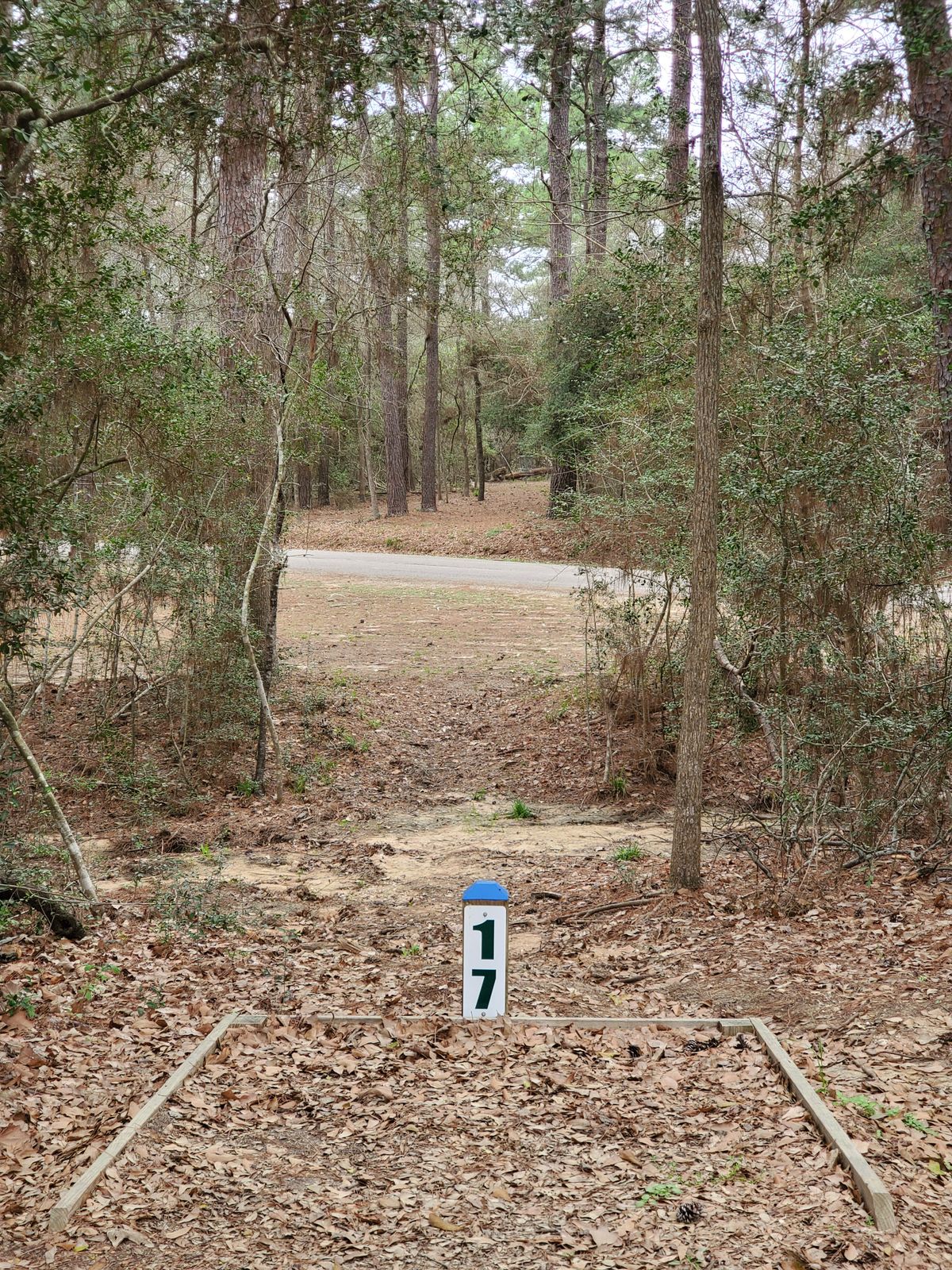 Hole 17 blue tee