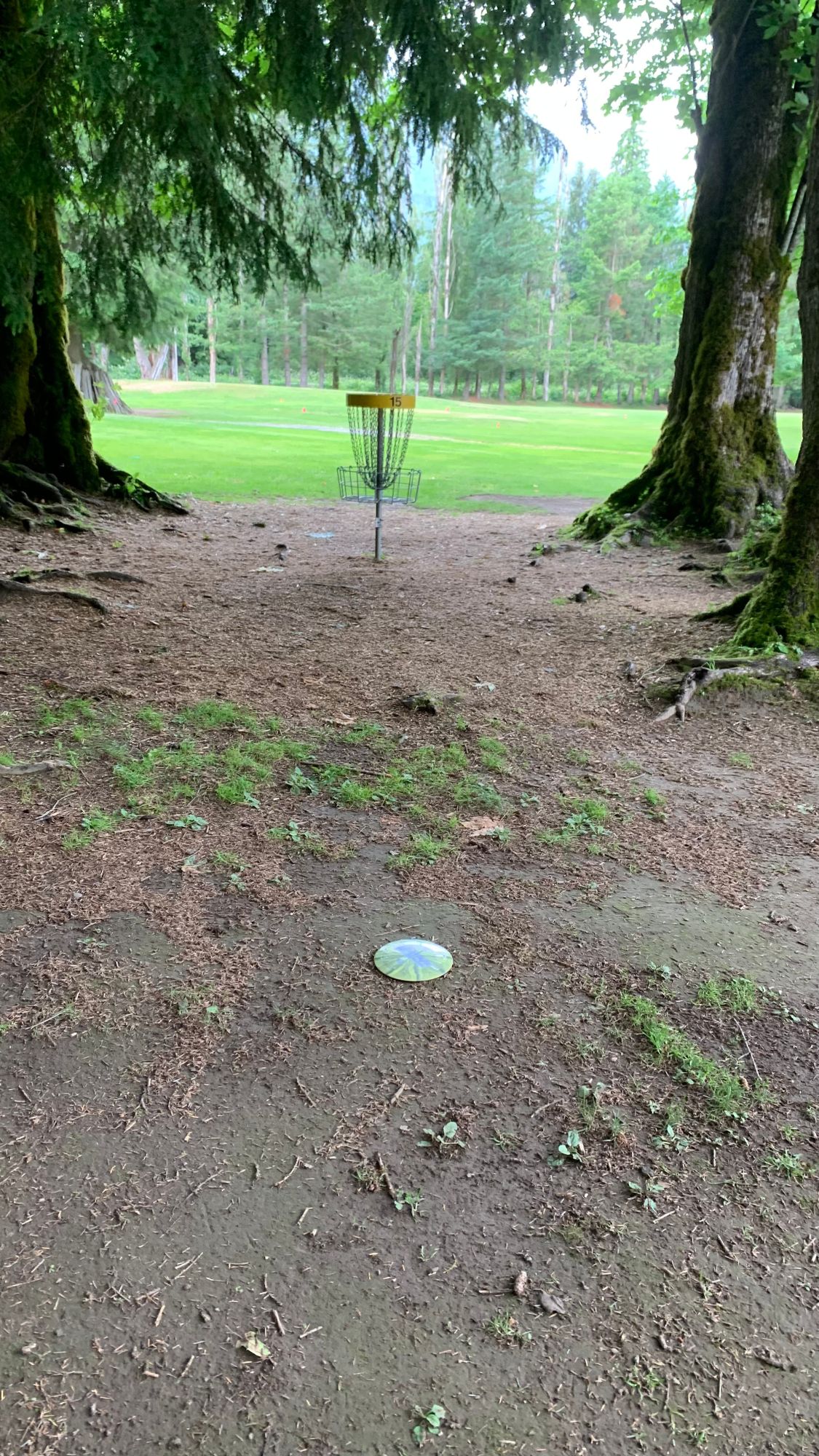 Hole 15