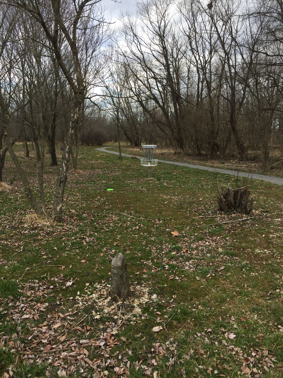 Hole 1 - straight shot