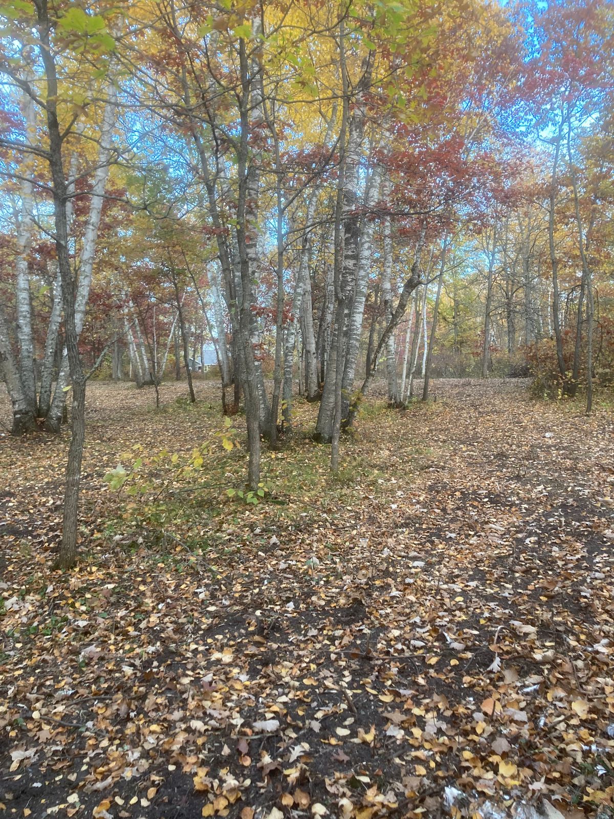 Hole 4 Tee and fairway