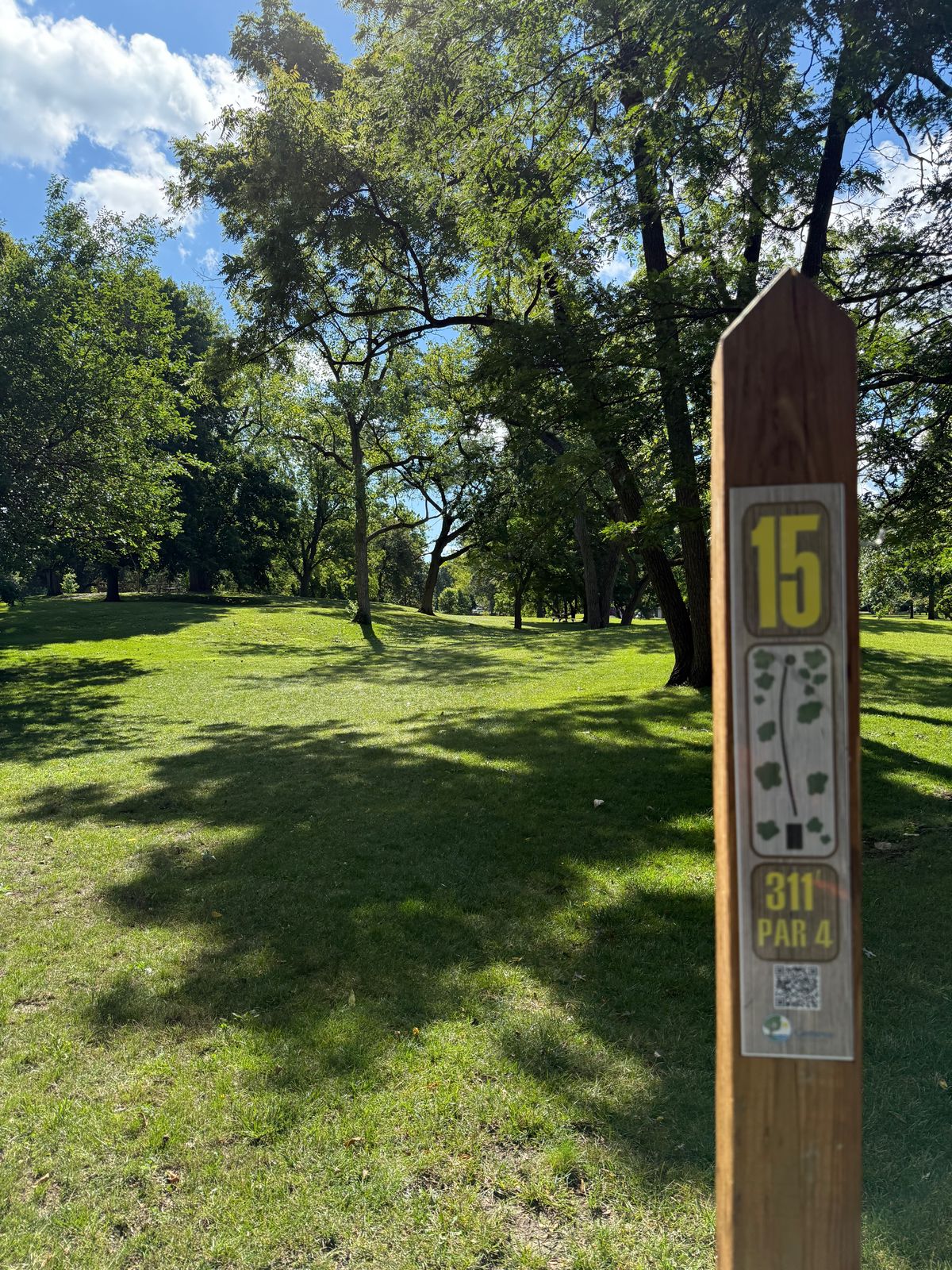 Tee 15